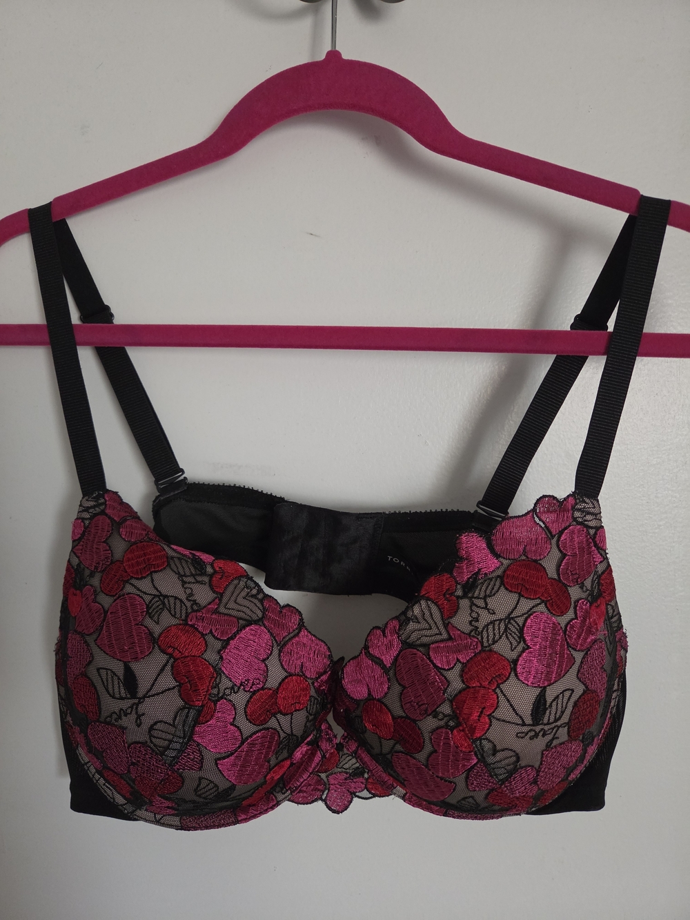 Embroidered Floral Pushup Plunge Bra in Pink & Red